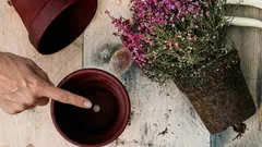 Prečo je tento otvor na dne kvetináča taký dôležitý pre zdravie rastlín?