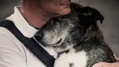 Spomenie si pes na svojho majiteľa po mnohých rokoch odlúčenia?