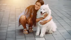 Najpriateľskejšie plemená psov pre rodiny s deťmi, ktoré naozaj milujú ľudí